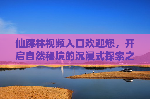 仙踪林视频入口欢迎您，开启自然秘境的沉浸式探索之旅