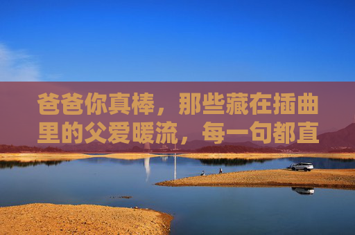 爸爸你真棒，那些藏在插曲里的父爱暖流，每一句都直击心扉——完整版插曲解析