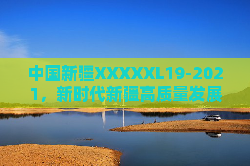 中国新疆XXXXXL19-2021，新时代新疆高质量发展的标准化引领与实践路径