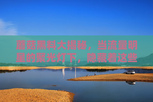 蘑菇黑料大揭秘，当流量明星的聚光灯下，隐藏着这些不为人知的幕后黑手与数据操纵内幕