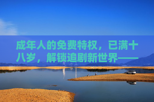 成年人的免费特权，已满十八岁，解锁追剧新世界——从福利到责任的平衡