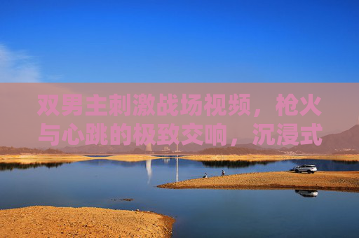 双男主刺激战场视频，枪火与心跳的极致交响，沉浸式体验的视觉狂欢