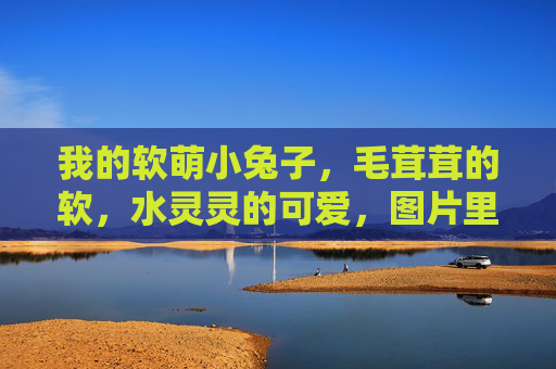 我的软萌小兔子，毛茸茸的软，水灵灵的可爱，图片里的每一帧都是治愈的宝藏
