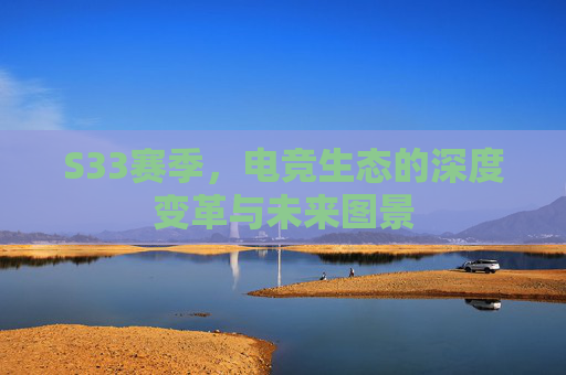 S33赛季，电竞生态的深度变革与未来图景