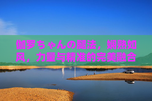伽罗ちゃんの腿法，娴熟如风，力量与精准的完美融合