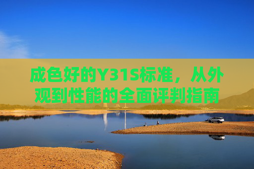 成色好的Y31S标准，从外观到性能的全面评判指南