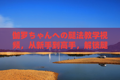 伽罗ちゃんへの腿法教学视频，从新手到高手，解锁腿部动作的精准操作指南