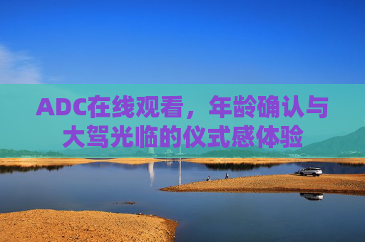 ADC在线观看，年龄确认与大驾光临的仪式感体验
