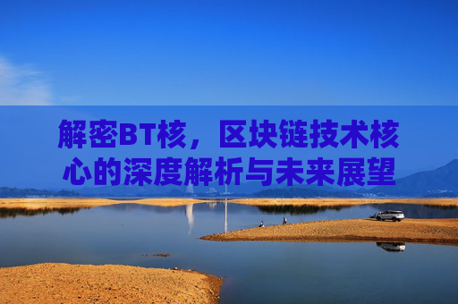 解密BT核，区块链技术核心的深度解析与未来展望