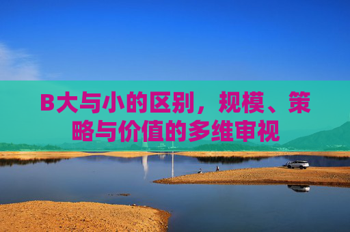 B大与小的区别，规模、策略与价值的多维审视