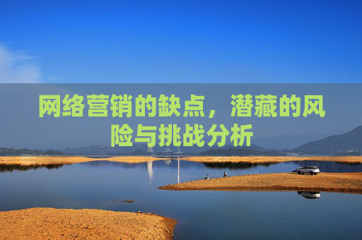 网络营销的缺点，潜藏的风险与挑战分析