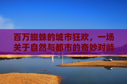 百万蜘蛛的城市狂欢，一场关于自然与都市的奇妙对峙