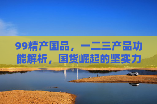 99精产国品，一二三产品功能解析，国货崛起的坚实力量