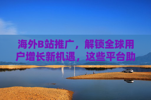 海外B站推广，解锁全球用户增长新机遇，这些平台助你精准触达目标受众