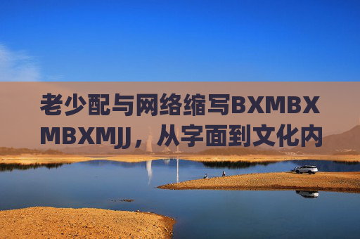 老少配与网络缩写BXMBXMBXMJJ，从字面到文化内涵的深度解析