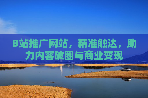 B站推广网站，精准触达，助力内容破圈与商业变现