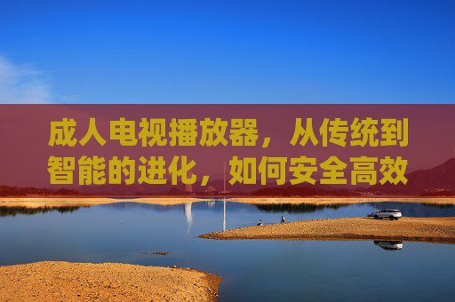 成人电视播放器，从传统到智能的进化，如何安全高效地体验私密娱乐？