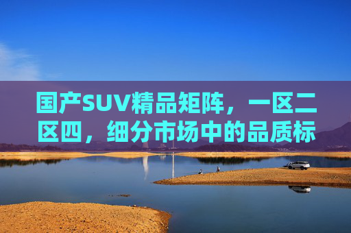 国产SUV精品矩阵，一区二区四，细分市场中的品质标杆