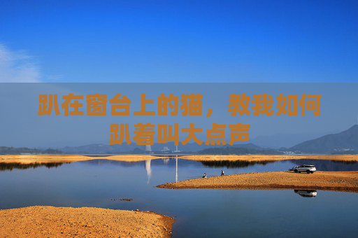 趴在窗台上的猫，教我如何趴着叫大点声