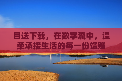 目送下载，在数字流中，温柔承接生活的每一份馈赠