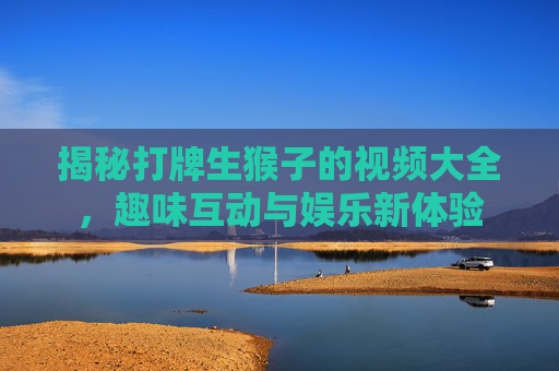 揭秘打牌生猴子的视频大全，趣味互动与娱乐新体验