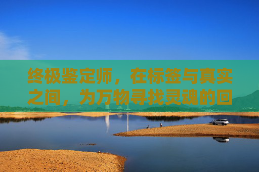 终极鉴定师，在标签与真实之间，为万物寻找灵魂的回响