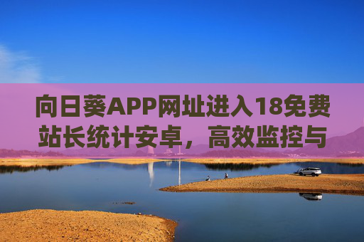 向日葵APP网址进入18免费站长统计安卓，高效监控与数据统计解决方案