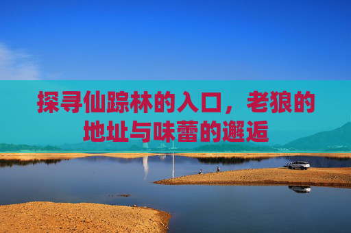 探寻仙踪林的入口，老狼的地址与味蕾的邂逅