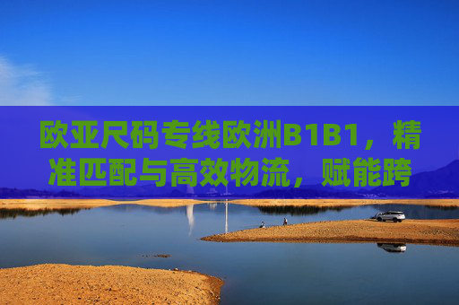 欧亚尺码专线欧洲B1B1，精准匹配与高效物流，赋能跨境品牌新增长