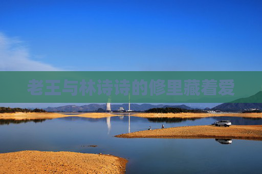 老王与林诗诗的修里藏着爱
