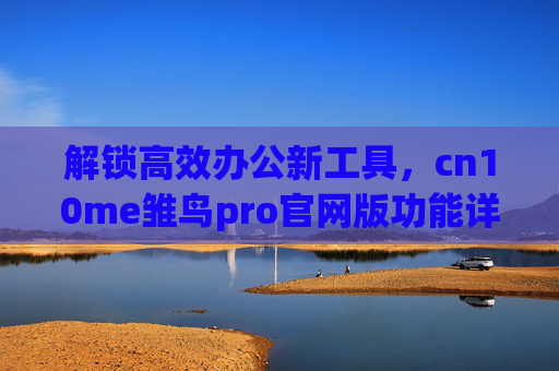 解锁高效办公新工具，cn10me雏鸟pro官网版功能详解与优势分析