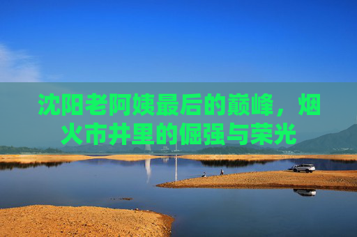 沈阳老阿姨最后的巅峰，烟火市井里的倔强与荣光