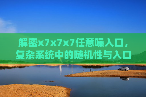 解密x7x7x7任意噪入口，复杂系统中的随机性与入口机制的探索