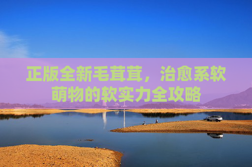 正版全新毛茸茸，治愈系软萌物的软实力全攻略
