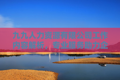 九九人力资源有限公司工作内容解析，专业服务助力企业人才管理与发展