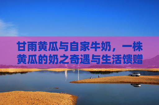 甘雨黄瓜与自家牛奶，一株黄瓜的奶之奇遇与生活馈赠