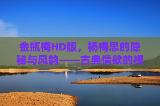 金瓶梅HD版，杨梅思的隐秘与风韵——古典情欲的视觉新解