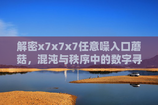 解密x7x7x7任意噪入口蘑菇，混沌与秩序中的数字寻宝之旅