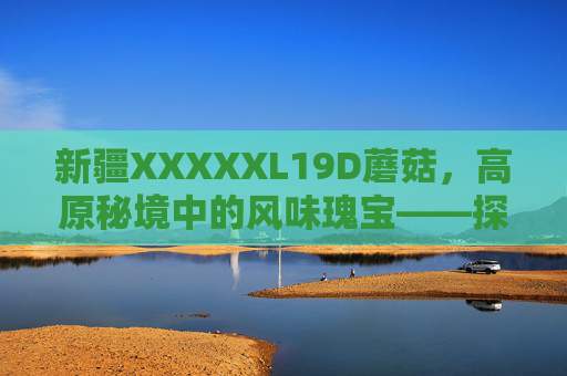 新疆XXXXXL19D蘑菇，高原秘境中的风味瑰宝——探寻其自然生长密码与多元价值