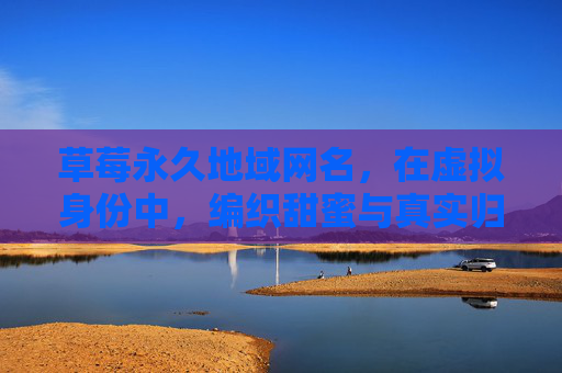 草莓永久地域网名，在虚拟身份中，编织甜蜜与真实归属
