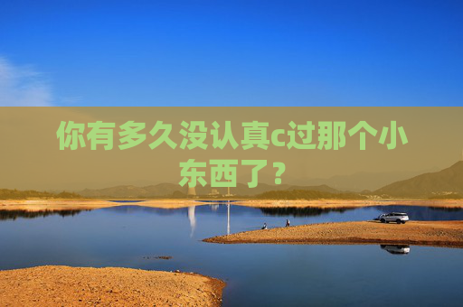 你有多久没认真c过那个小东西了？