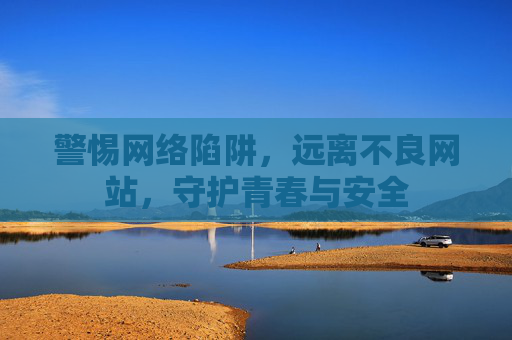 警惕网络陷阱，远离不良网站，守护青春与安全