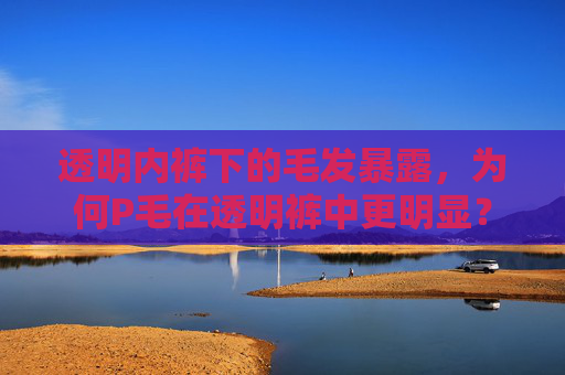 透明内裤下的毛发暴露，为何P毛在透明裤中更明显？