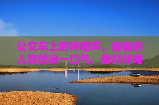公交车上的呼噜声，睡着的人突然吸一口气，像打呼噜般惊醒