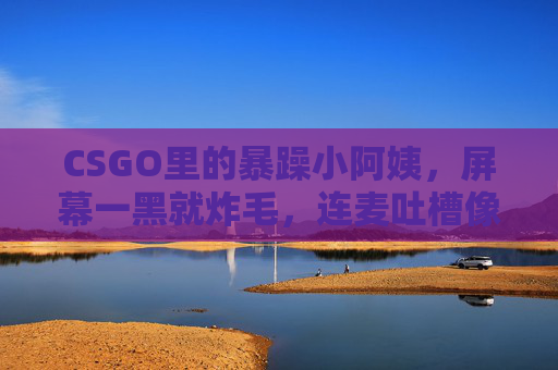 CSGO里的暴躁小阿姨，屏幕一黑就炸毛，连麦吐槽像开了外放麦克风