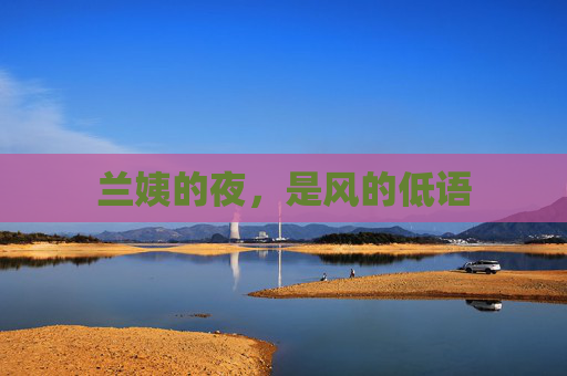 兰姨的夜，是风的低语