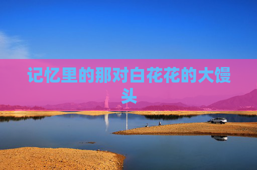 记忆里的那对白花花的大馒头