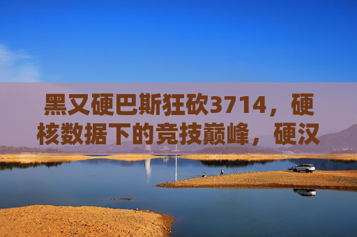 黑又硬巴斯狂砍3714，硬核数据下的竞技巅峰，硬汉选手的3714表现如何定义胜利？
