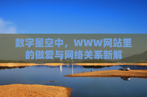 数字星空中，WWW网站里的做爱与网络关系新解