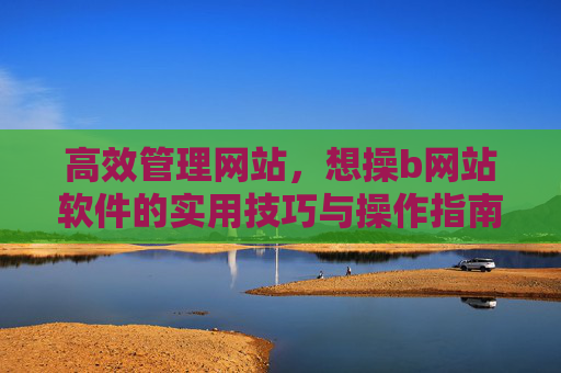 高效管理网站，想操b网站软件的实用技巧与操作指南